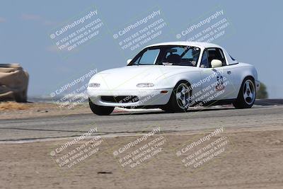 media/Oct-04-2025-OnGrid (Sat) [[44bd565ffa]]/Purple Group/Grapevine/